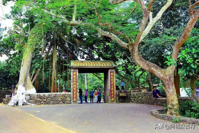 富硒地瓜怎么那么甜（富硒地瓜含糖量高吗）-硒宝网