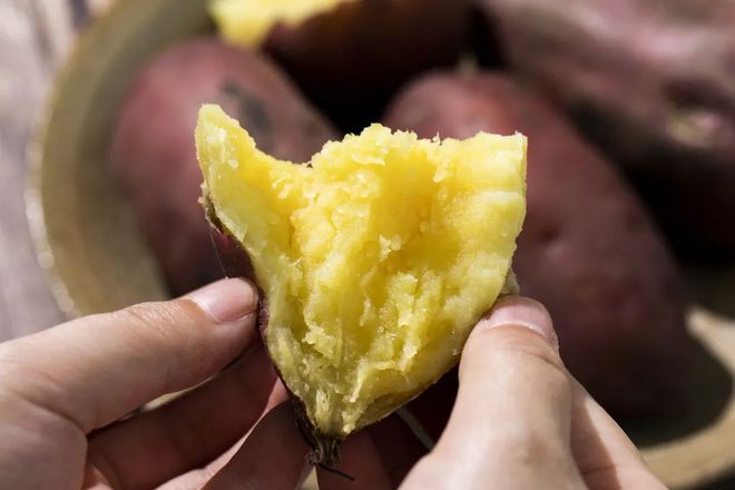 富硒地瓜哪里的好吃(富硒地瓜有什么好处)-硒宝网