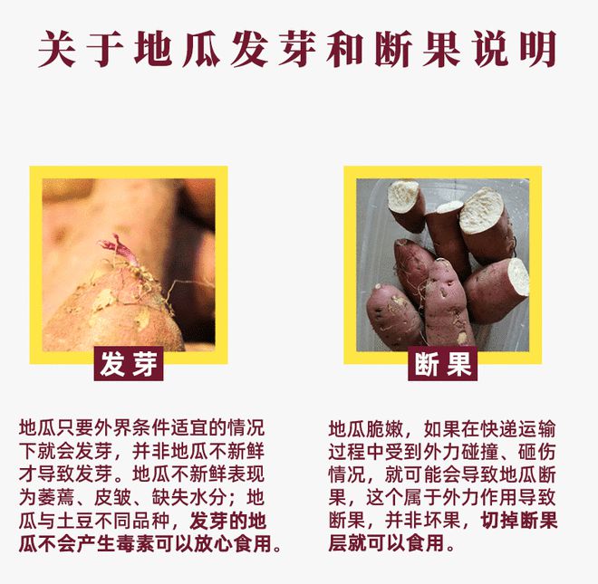 富硒地瓜哪里的好吃(富硒地瓜有什么好处)-硒宝网