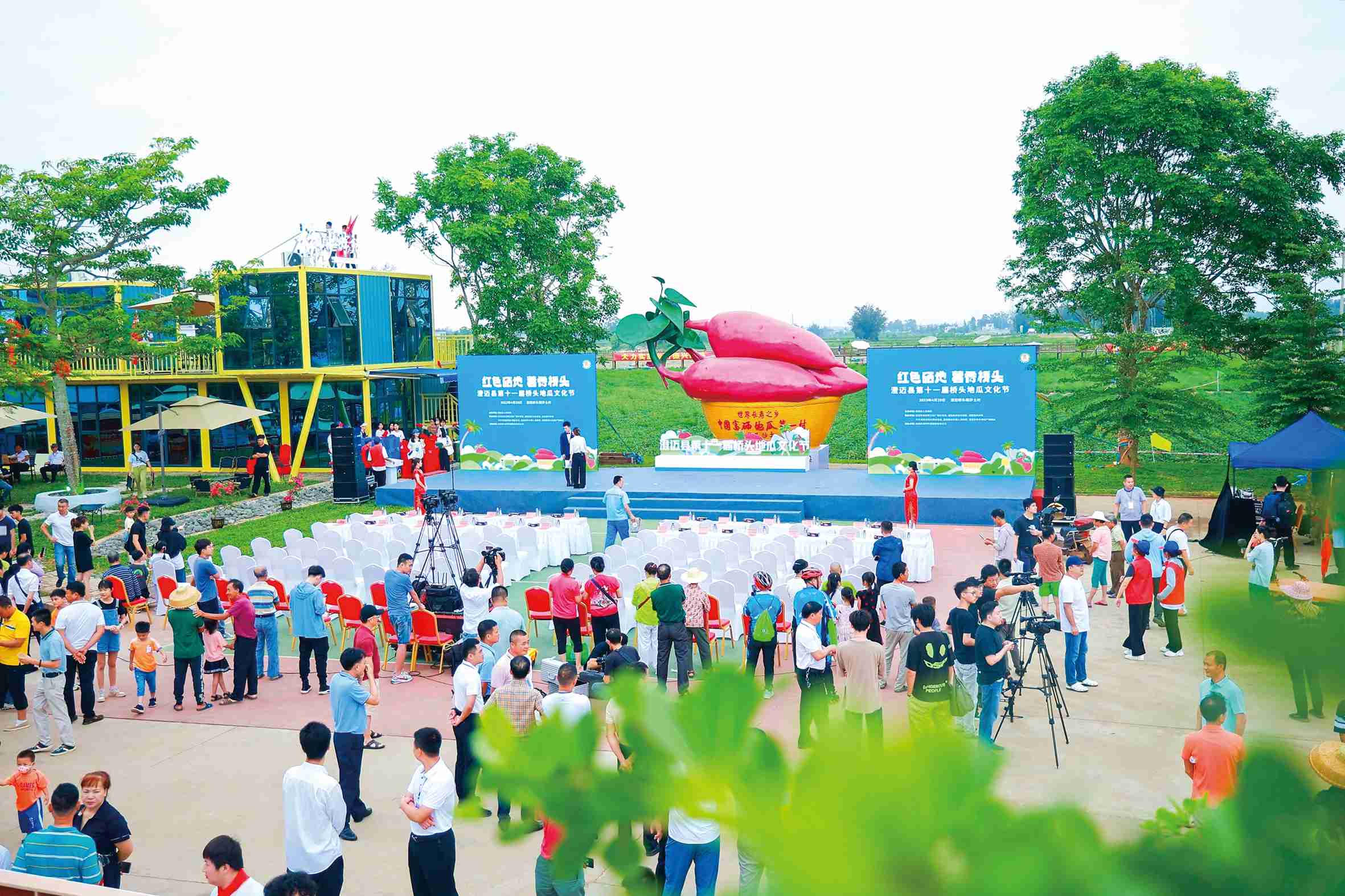 澄迈桥头富硒地瓜图（澄迈桥头地瓜多少钱一斤）-硒宝网