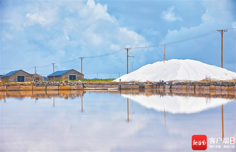 海南富硒地瓜怎么吃(富硒地瓜吃了胖吗)-硒宝网