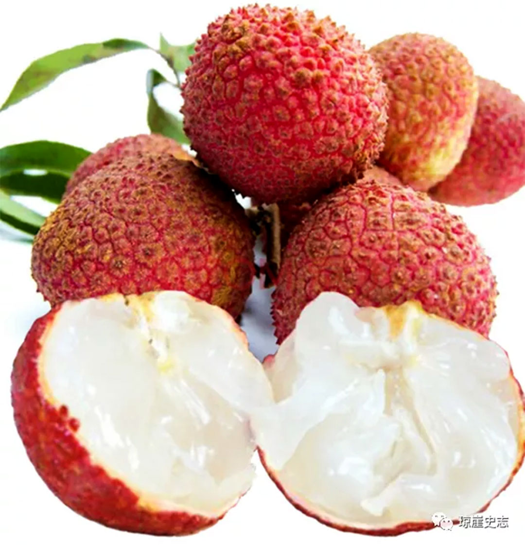 海南富硒地瓜怎么买(三亚富硒地瓜)-硒宝网