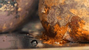 健身能吃富硒地瓜吗(地瓜健身能不能吃)-硒宝网