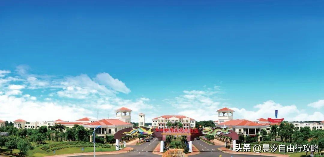 桥头富硒地瓜种植户(户桥头种植地瓜富硒基地在哪)-硒宝网