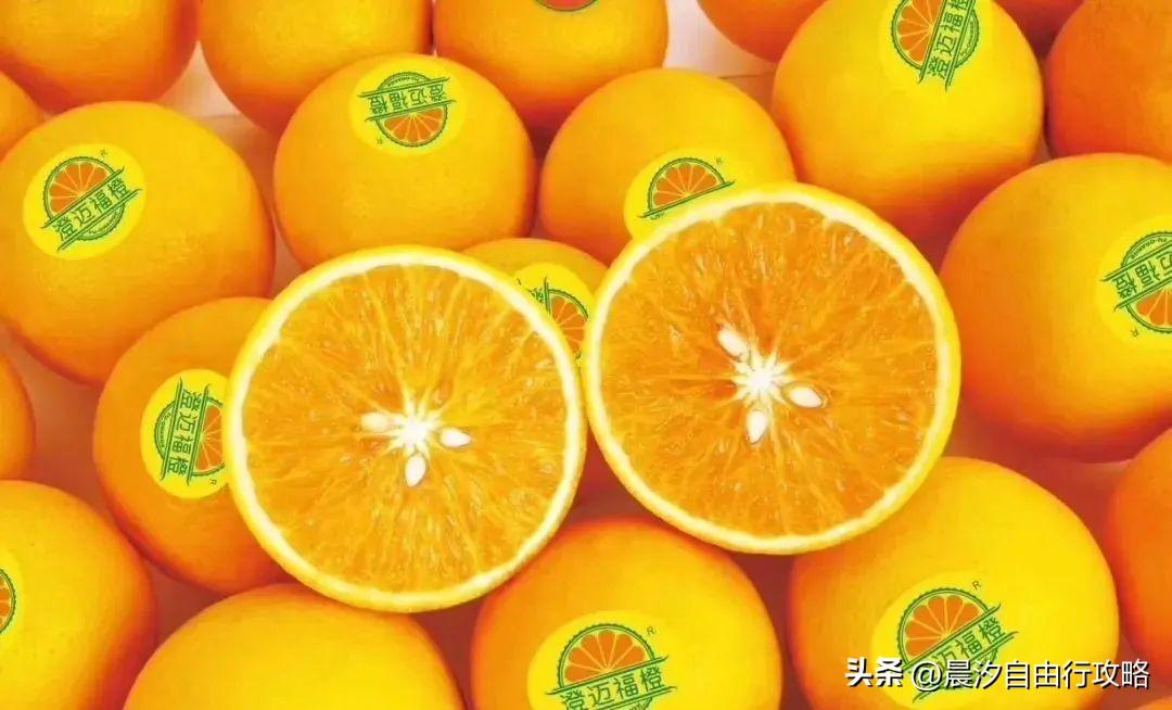 桥头富硒地瓜种植户(户桥头种植地瓜富硒基地在哪)-硒宝网