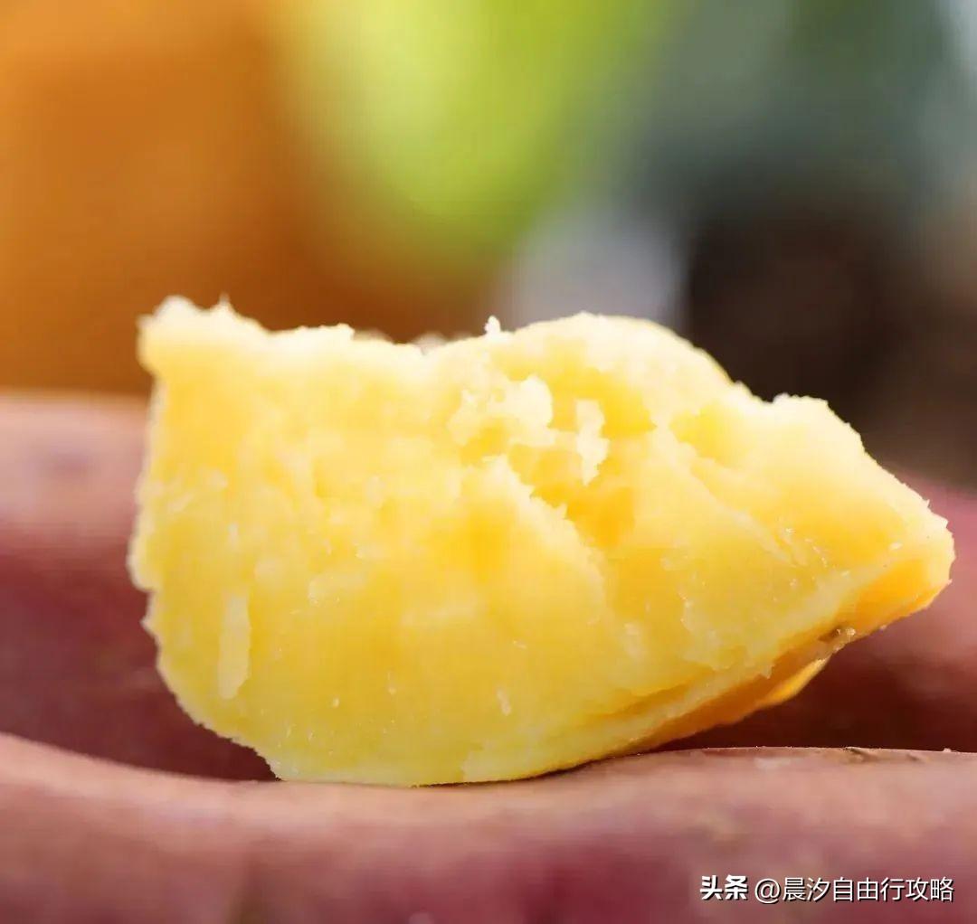 桥头富硒地瓜种植户(户桥头种植地瓜富硒基地在哪)-硒宝网