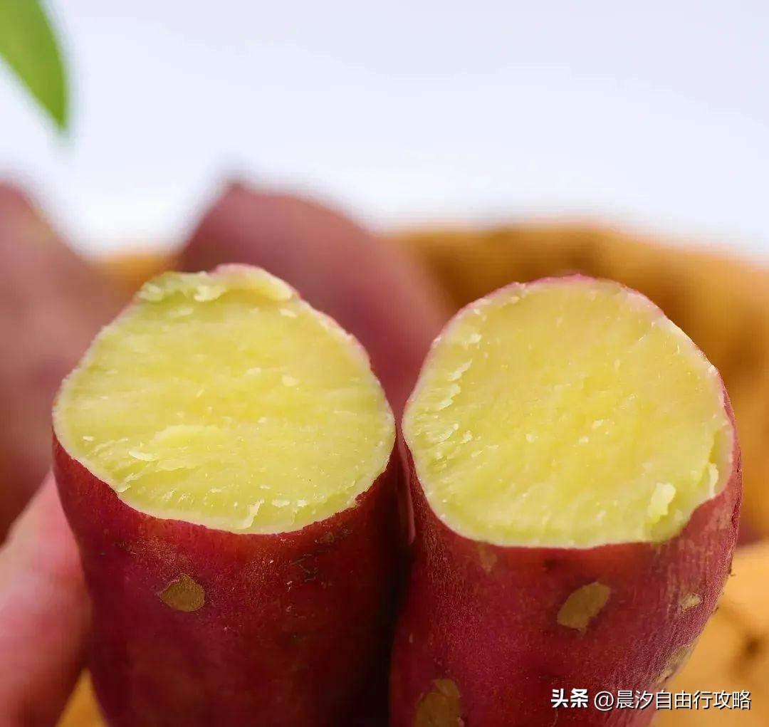 桥头富硒地瓜种植户(户桥头种植地瓜富硒基地在哪)-硒宝网