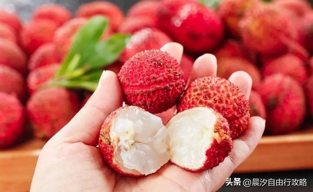 桥头富硒地瓜种植户(户桥头种植地瓜富硒基地在哪)-硒宝网