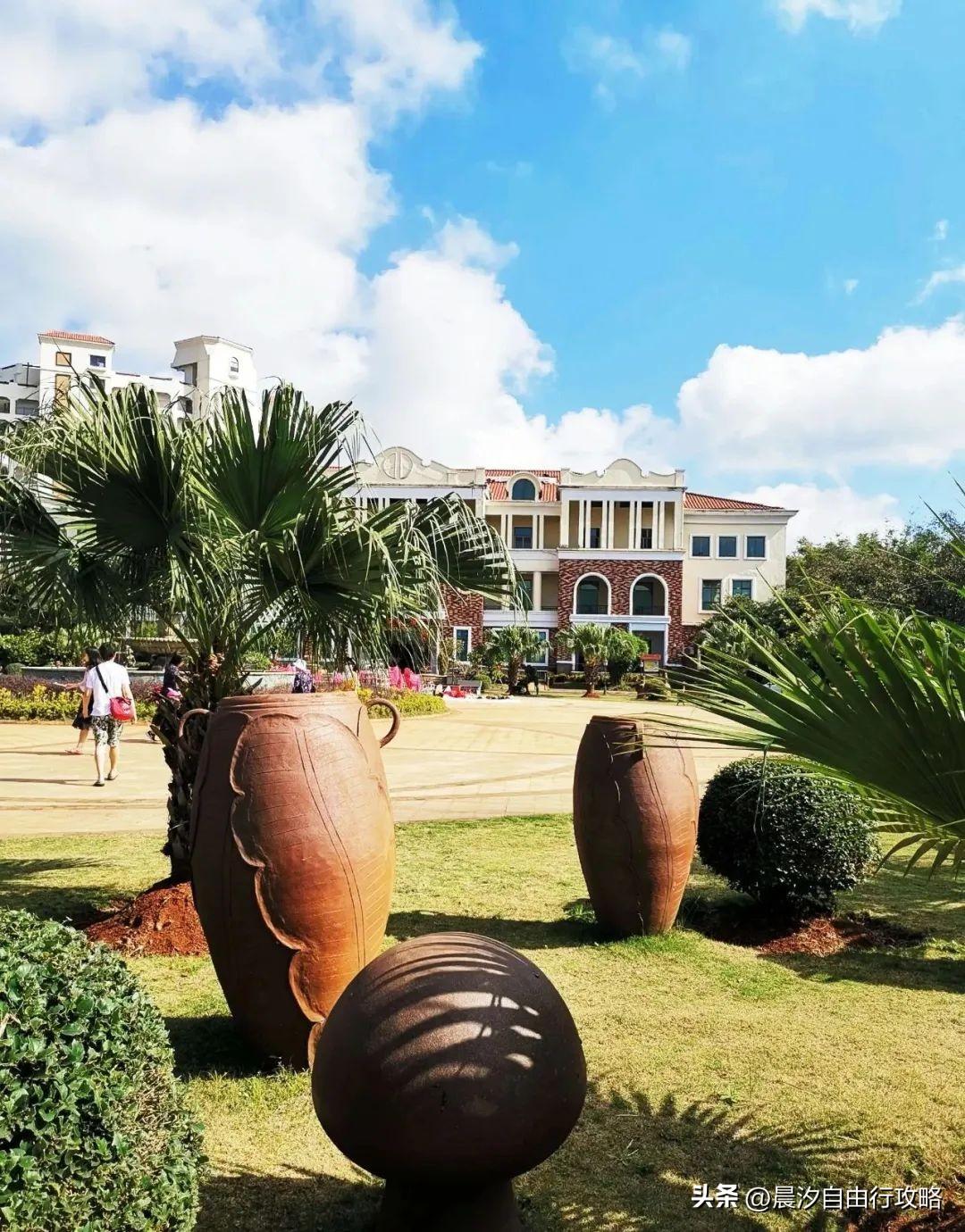 桥头富硒地瓜种植户(户桥头种植地瓜富硒基地在哪)-硒宝网