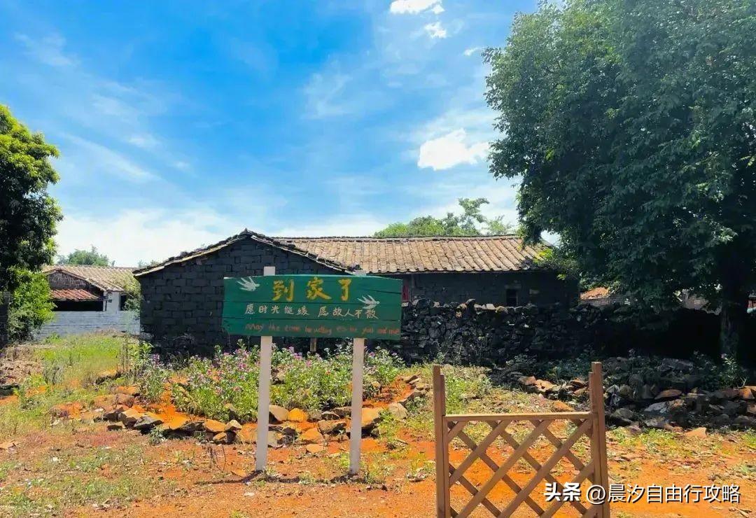 桥头富硒地瓜种植户(户桥头种植地瓜富硒基地在哪)-硒宝网