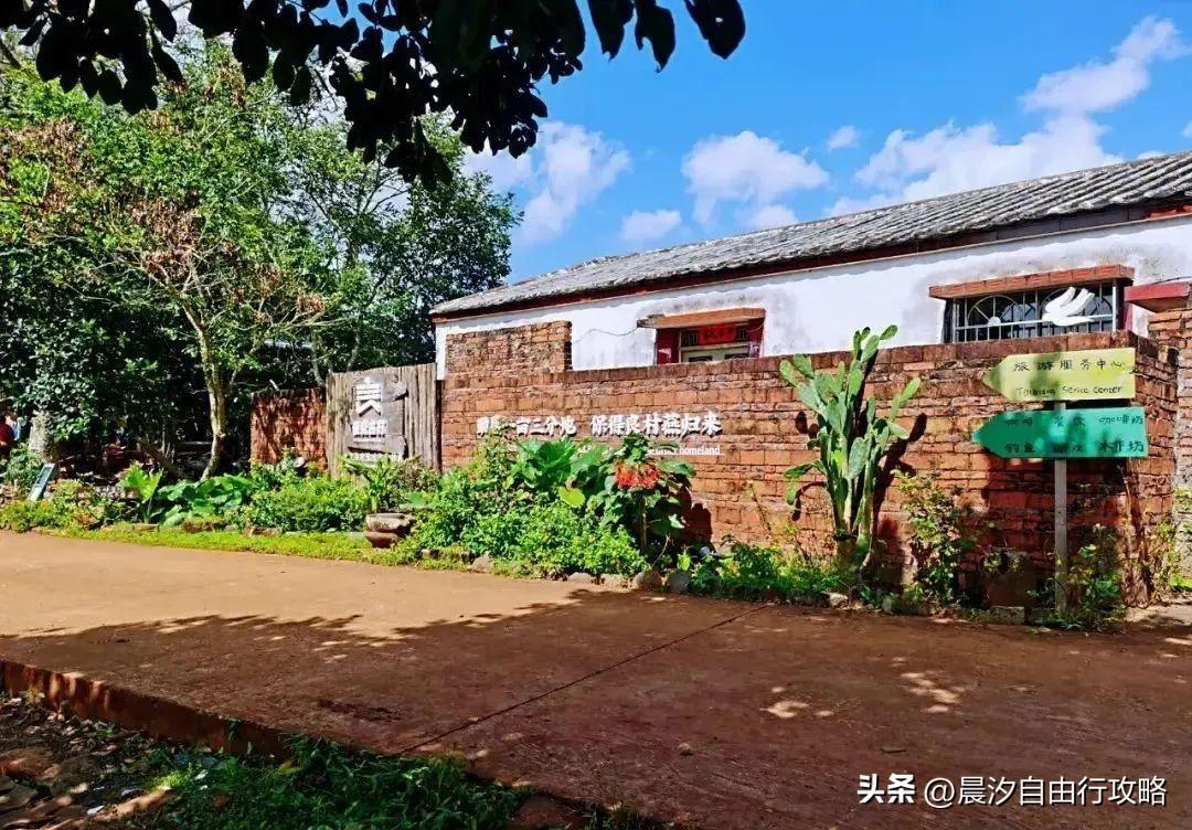 桥头富硒地瓜种植户(户桥头种植地瓜富硒基地在哪)-硒宝网