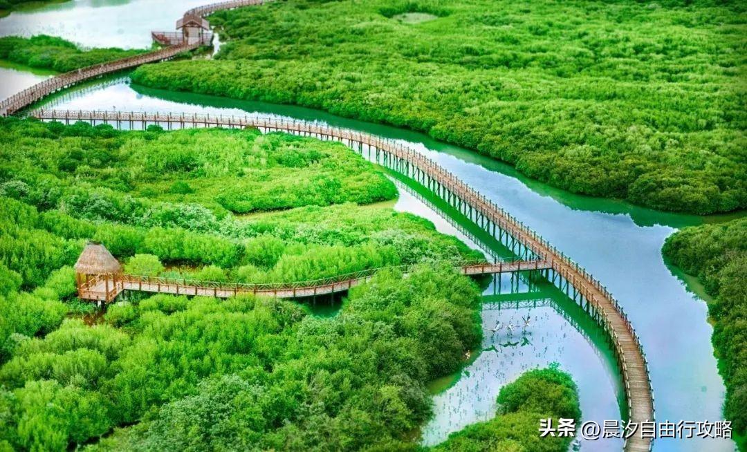 桥头富硒地瓜种植户(户桥头种植地瓜富硒基地在哪)-硒宝网