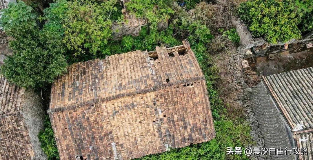 桥头富硒地瓜种植户(户桥头种植地瓜富硒基地在哪)-硒宝网