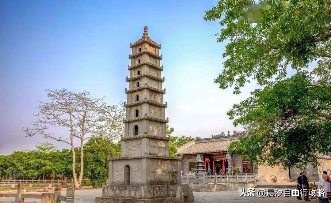 桥头富硒地瓜种植户(户桥头种植地瓜富硒基地在哪)-硒宝网