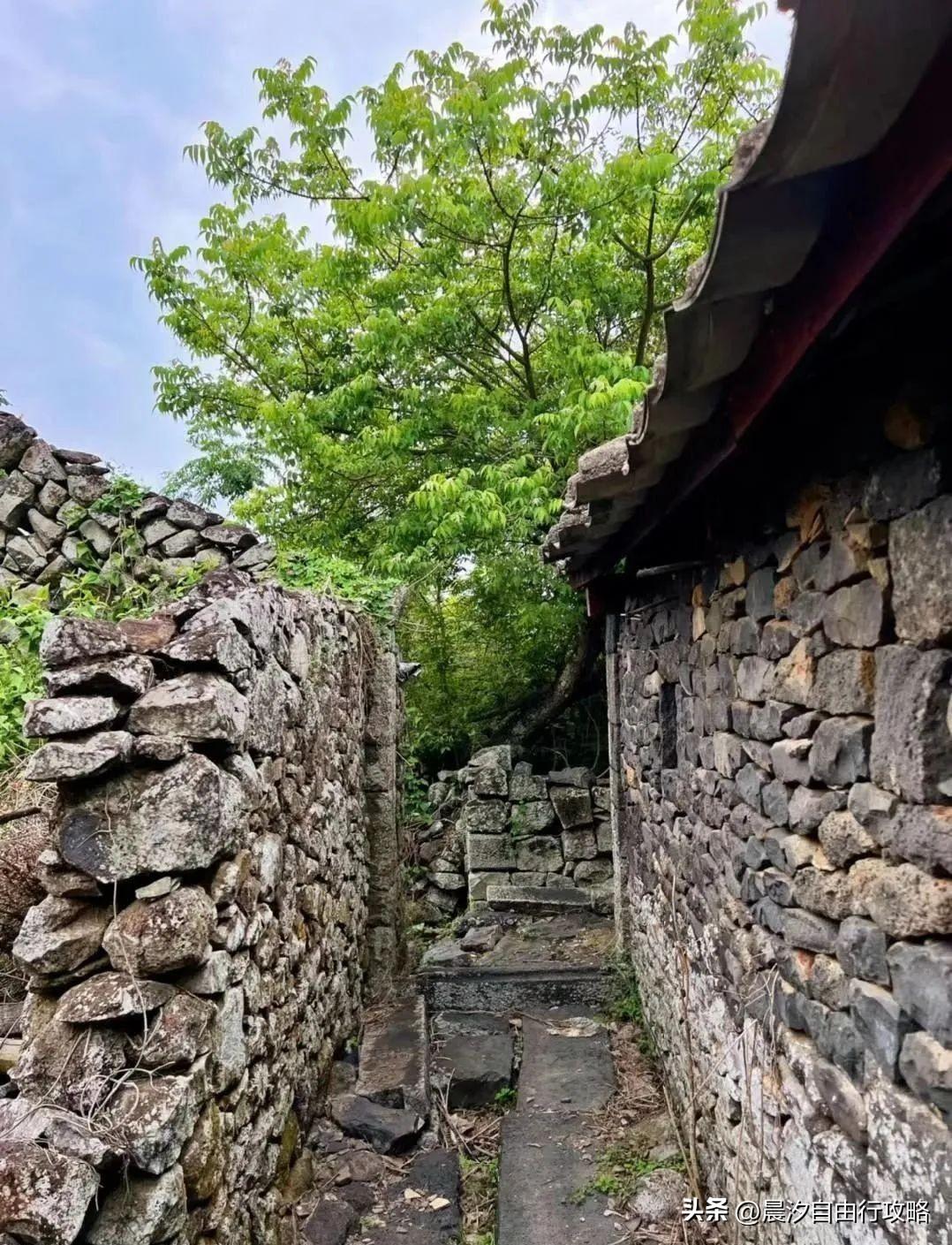 桥头富硒地瓜种植户(户桥头种植地瓜富硒基地在哪)-硒宝网