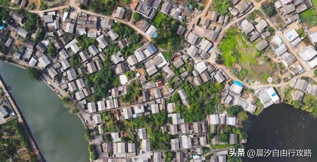 桥头富硒地瓜种植户(户桥头种植地瓜富硒基地在哪)-硒宝网