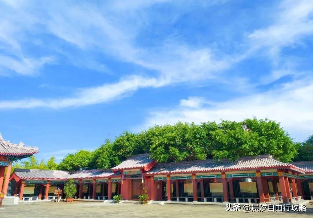 桥头富硒地瓜种植户(户桥头种植地瓜富硒基地在哪)-硒宝网