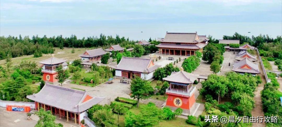 桥头富硒地瓜种植户(户桥头种植地瓜富硒基地在哪)-硒宝网