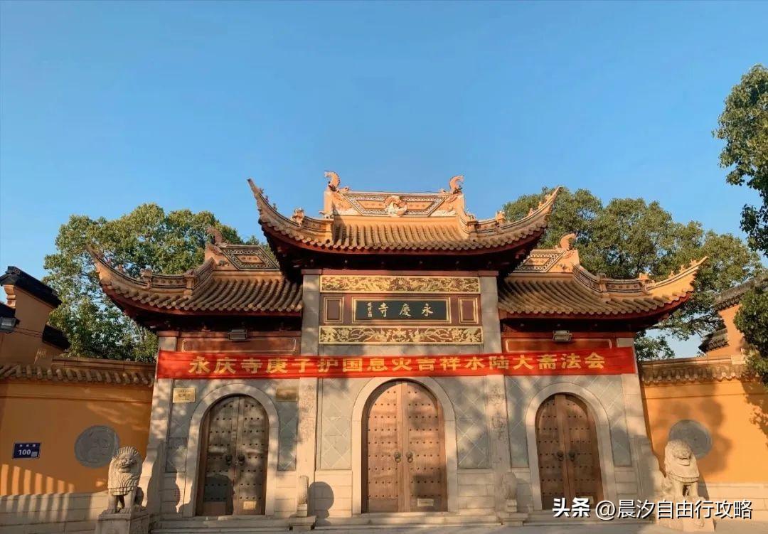 桥头富硒地瓜种植户(户桥头种植地瓜富硒基地在哪)-硒宝网