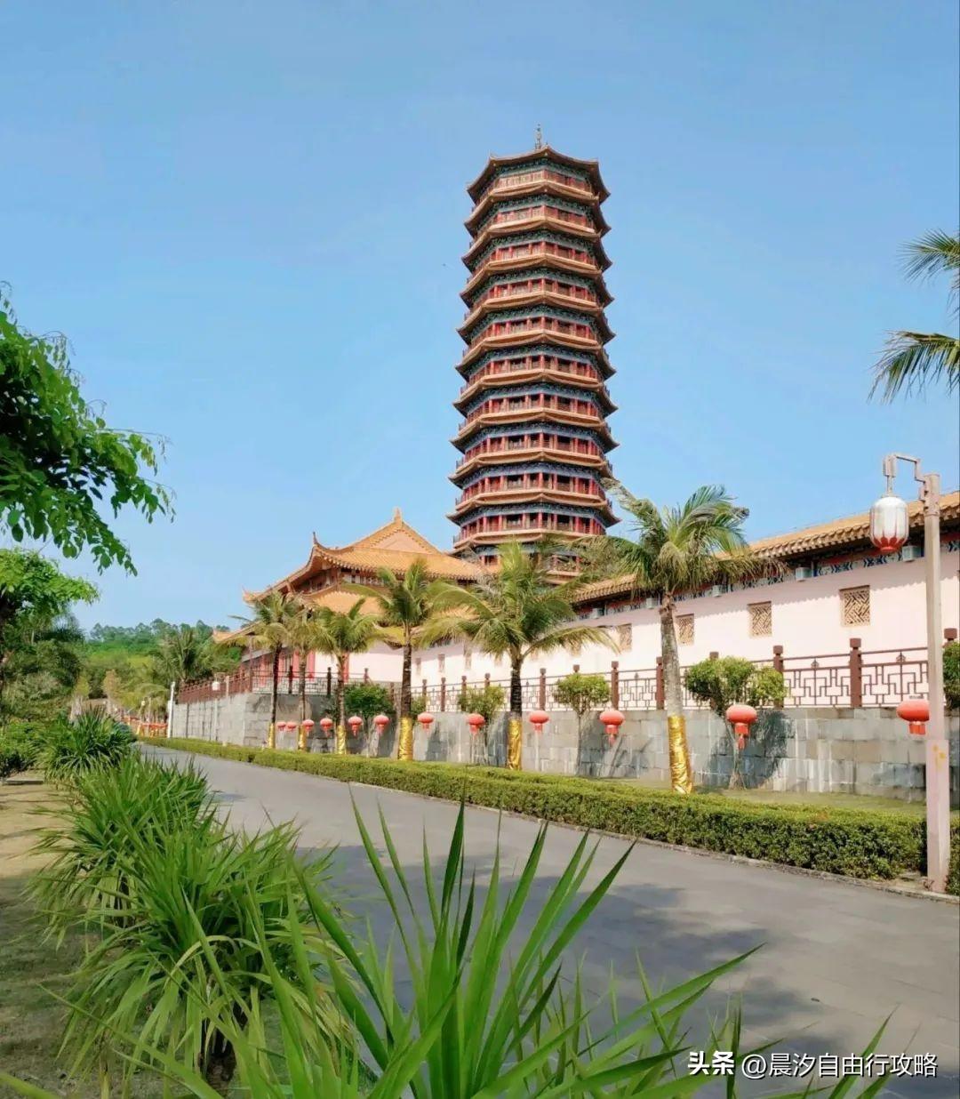 桥头富硒地瓜种植户(户桥头种植地瓜富硒基地在哪)-硒宝网