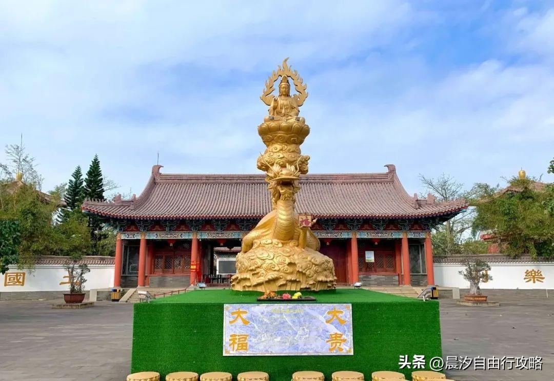 桥头富硒地瓜种植户(户桥头种植地瓜富硒基地在哪)-硒宝网