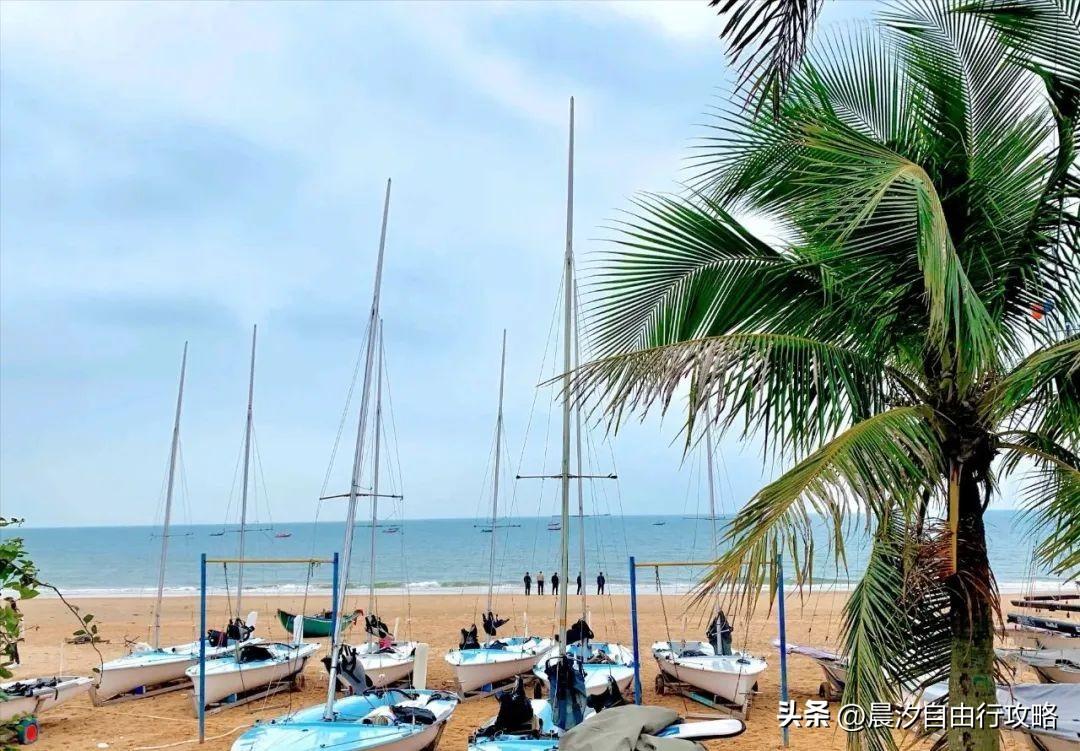 桥头富硒地瓜种植户(户桥头种植地瓜富硒基地在哪)-硒宝网