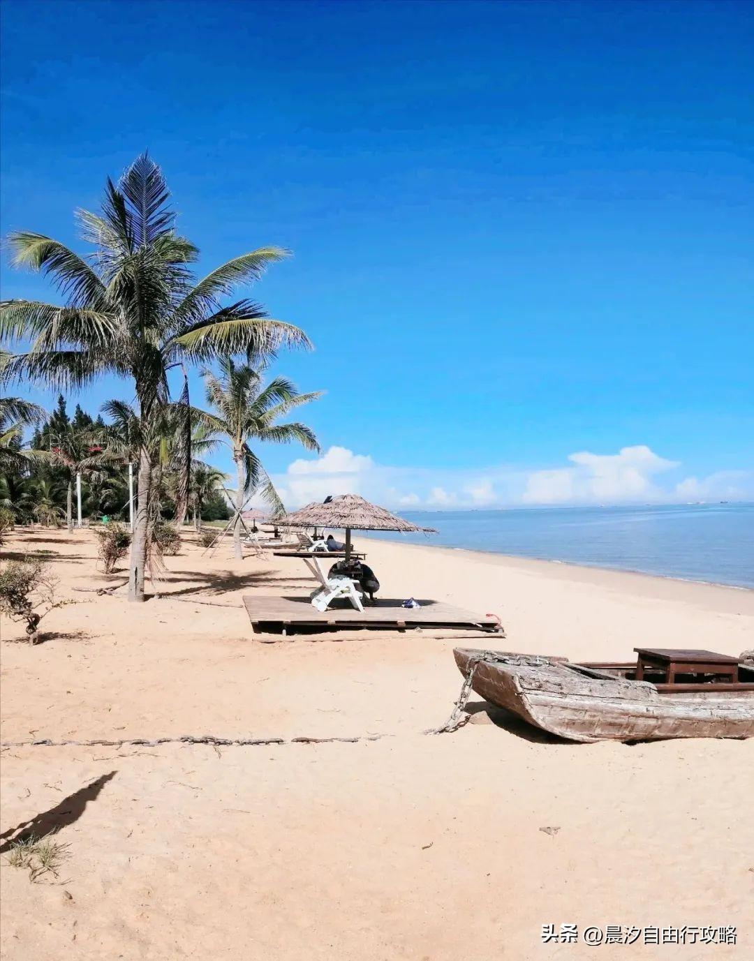 桥头富硒地瓜种植户(户桥头种植地瓜富硒基地在哪)-硒宝网
