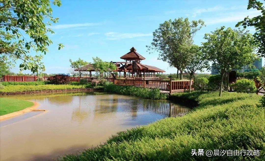 桥头富硒地瓜种植户(户桥头种植地瓜富硒基地在哪)-硒宝网