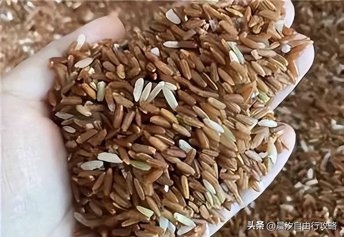 桥头富硒地瓜种植户(户桥头种植地瓜富硒基地在哪)-硒宝网