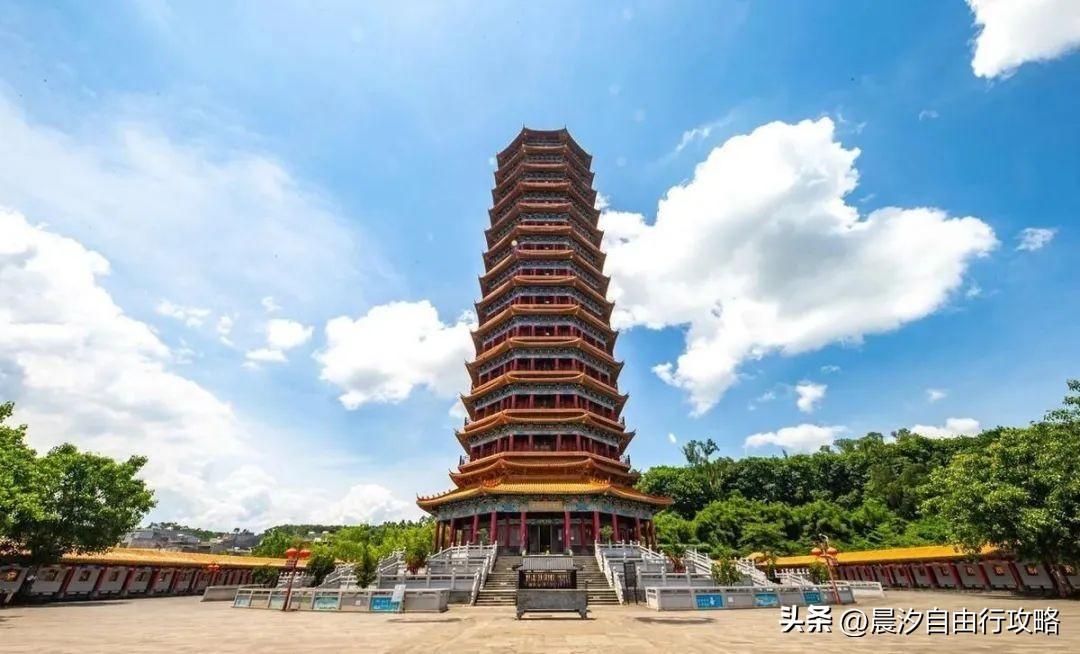 桥头富硒地瓜种植户(户桥头种植地瓜富硒基地在哪)-硒宝网