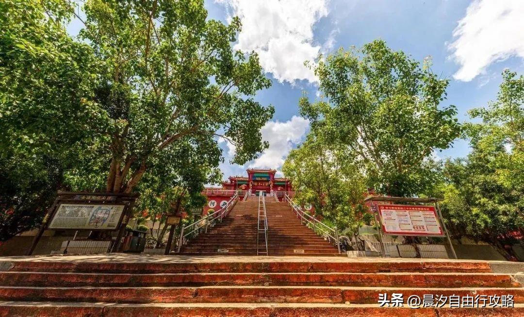 桥头富硒地瓜种植户(户桥头种植地瓜富硒基地在哪)-硒宝网