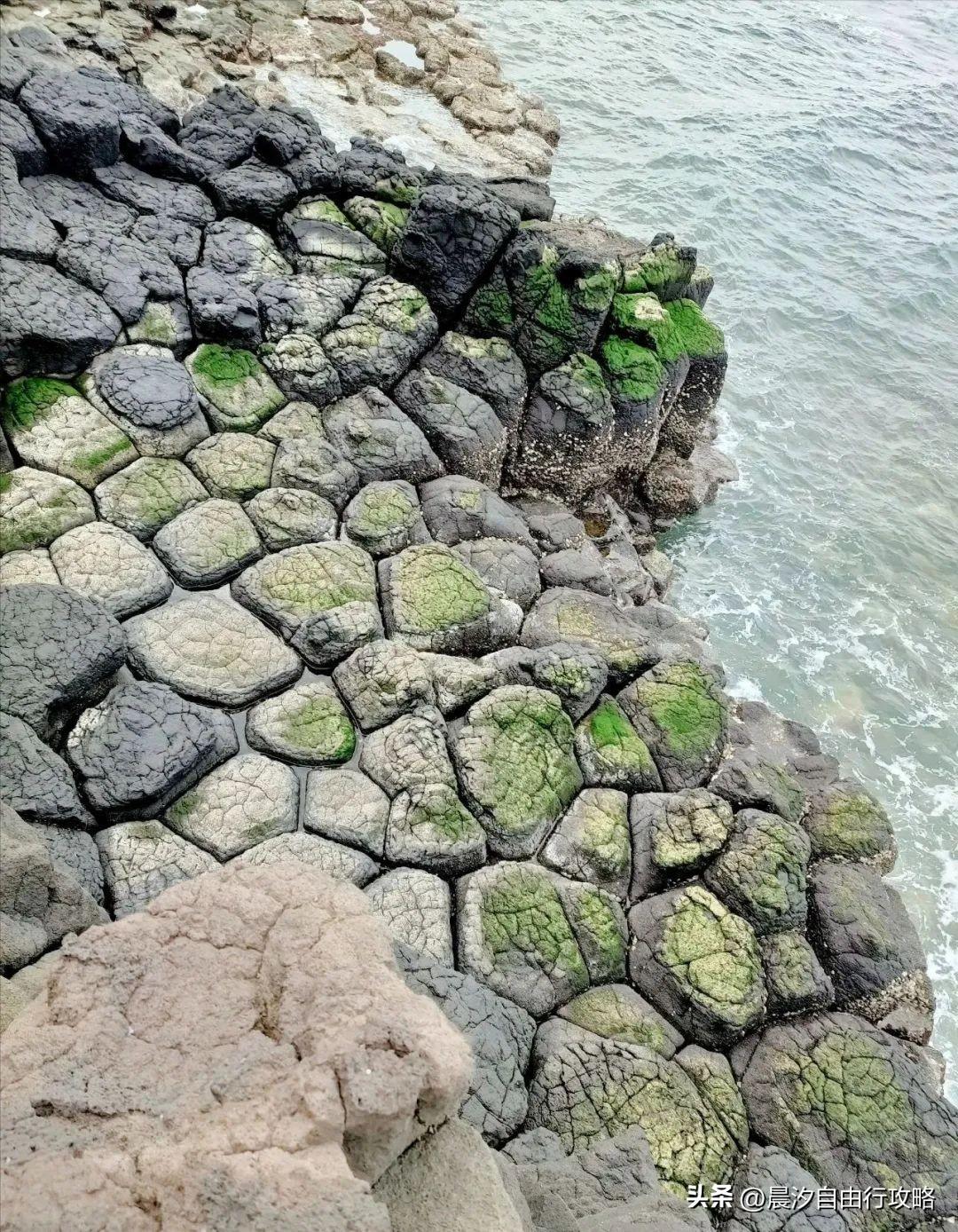 桥头富硒地瓜种植户(户桥头种植地瓜富硒基地在哪)-硒宝网