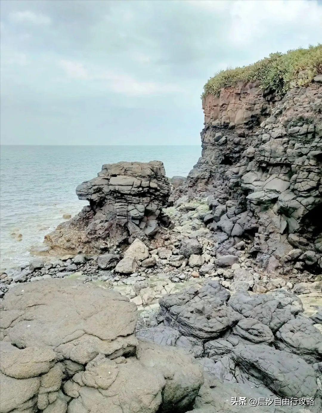 桥头富硒地瓜种植户(户桥头种植地瓜富硒基地在哪)-硒宝网