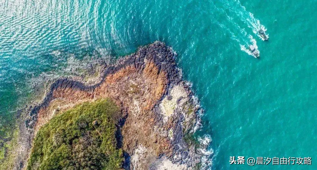 桥头富硒地瓜种植户(户桥头种植地瓜富硒基地在哪)-硒宝网