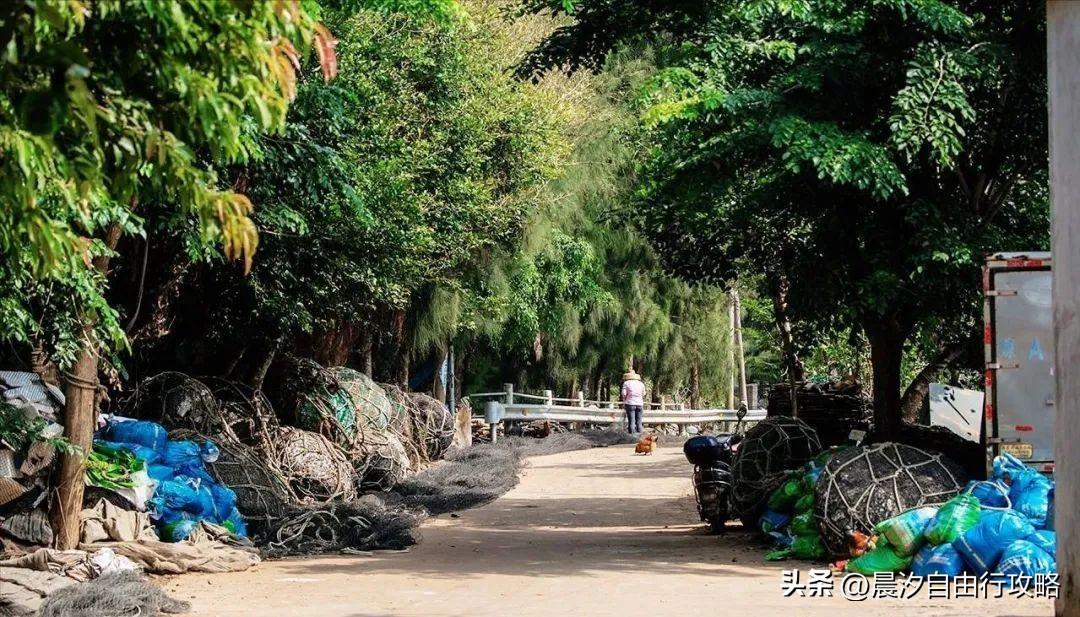 桥头富硒地瓜种植户(户桥头种植地瓜富硒基地在哪)-硒宝网
