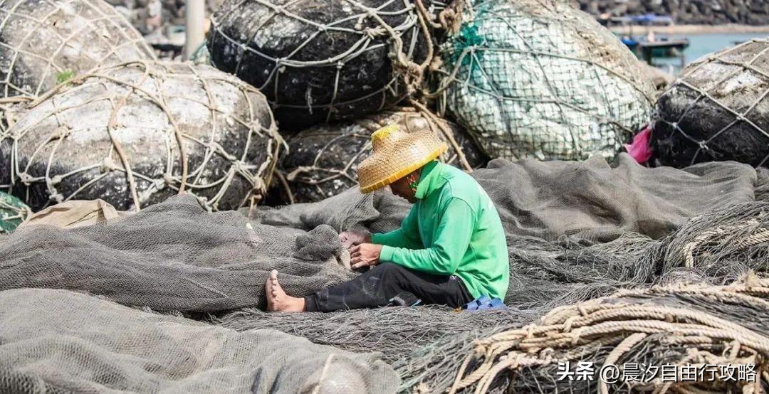 桥头富硒地瓜种植户(户桥头种植地瓜富硒基地在哪)-硒宝网
