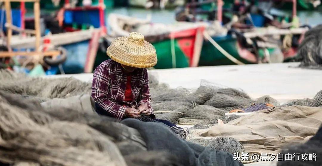 桥头富硒地瓜种植户(户桥头种植地瓜富硒基地在哪)-硒宝网