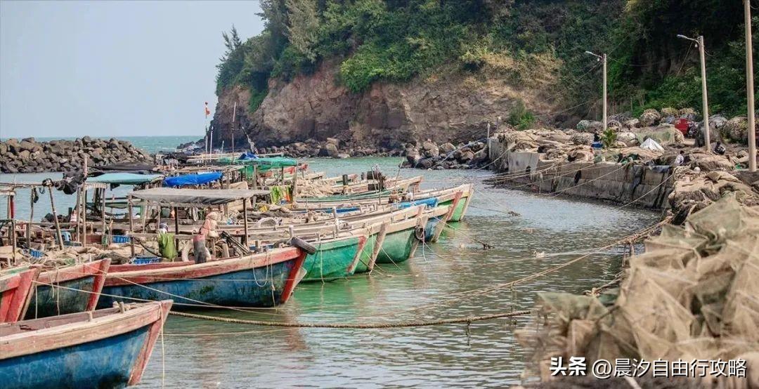 桥头富硒地瓜种植户(户桥头种植地瓜富硒基地在哪)-硒宝网
