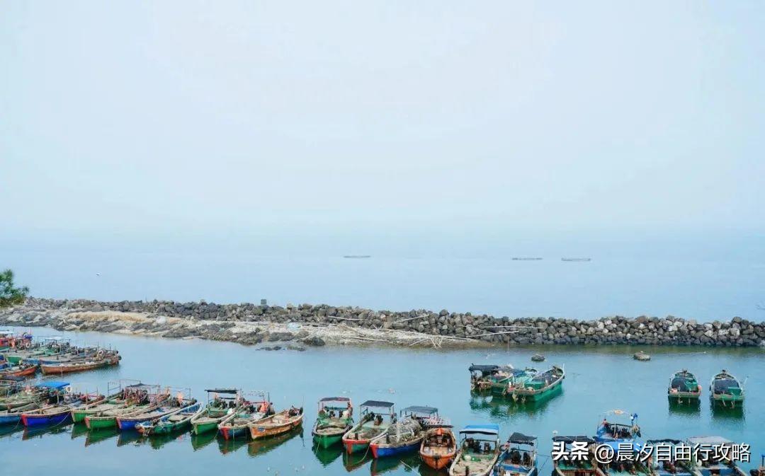 桥头富硒地瓜种植户(户桥头种植地瓜富硒基地在哪)-硒宝网