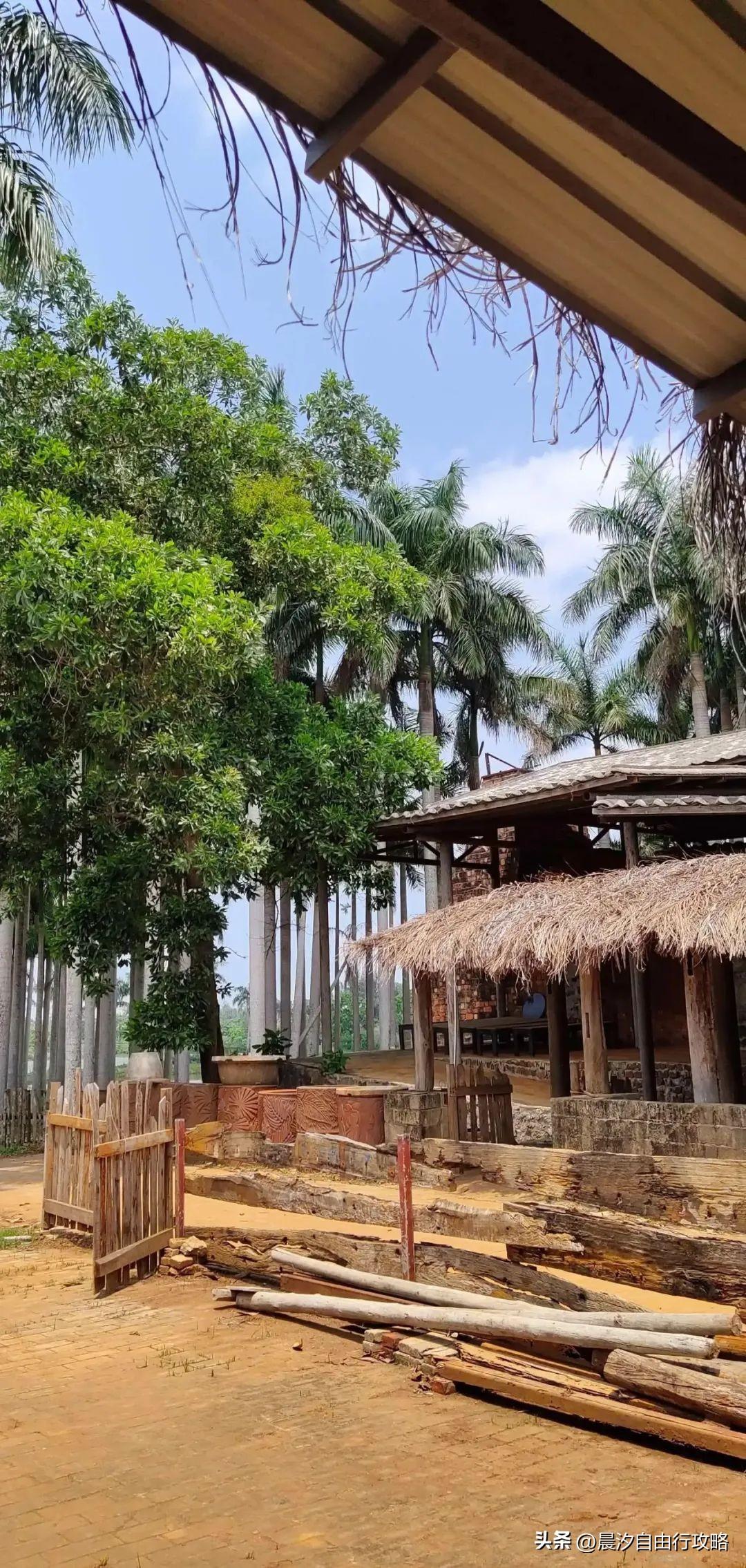 桥头富硒地瓜种植户(户桥头种植地瓜富硒基地在哪)-硒宝网