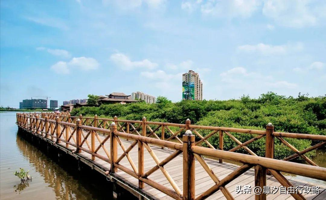 桥头富硒地瓜种植户(户桥头种植地瓜富硒基地在哪)-硒宝网