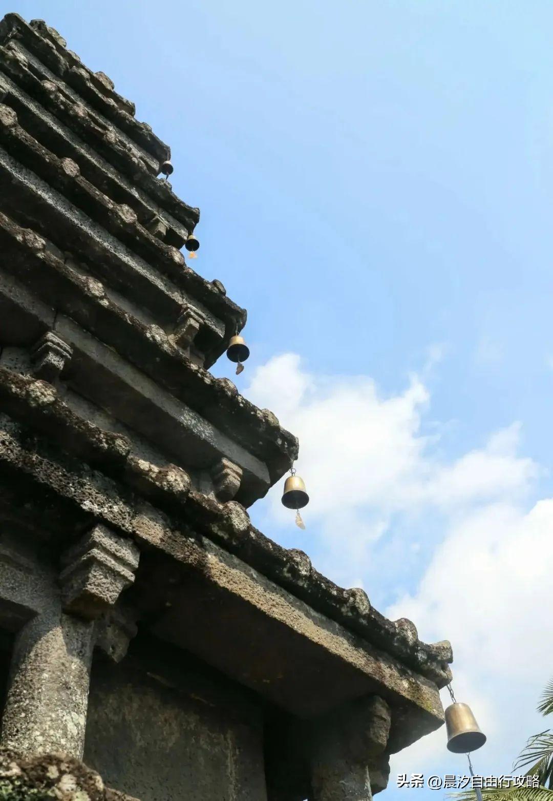 桥头富硒地瓜种植户(户桥头种植地瓜富硒基地在哪)-硒宝网