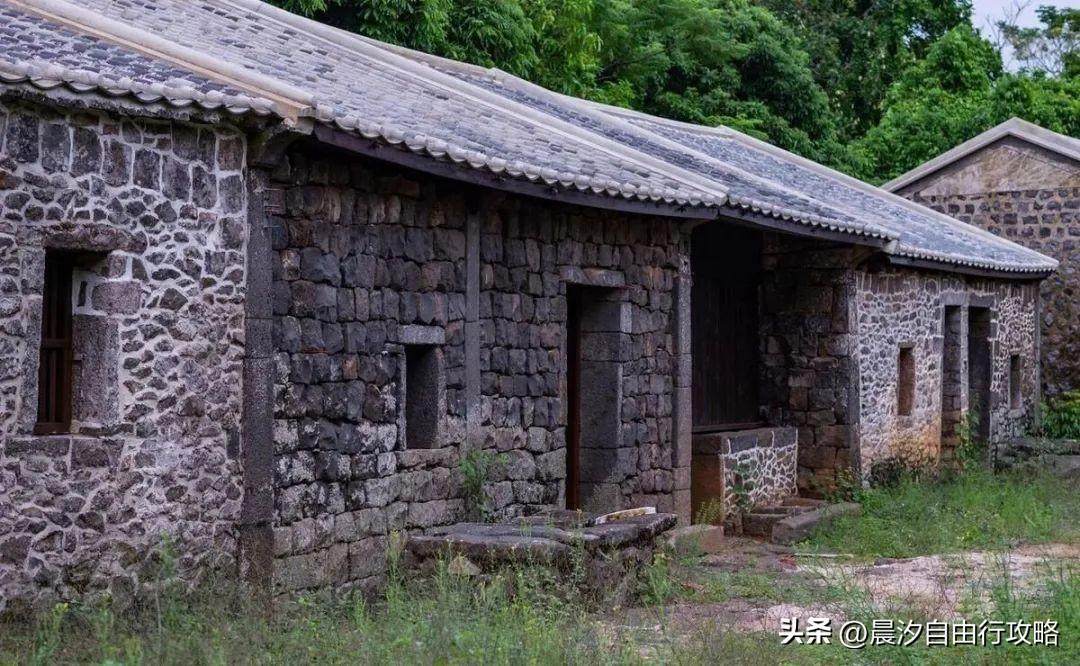 桥头富硒地瓜种植户(户桥头种植地瓜富硒基地在哪)-硒宝网