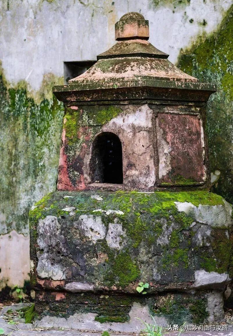 桥头富硒地瓜种植户(户桥头种植地瓜富硒基地在哪)-硒宝网