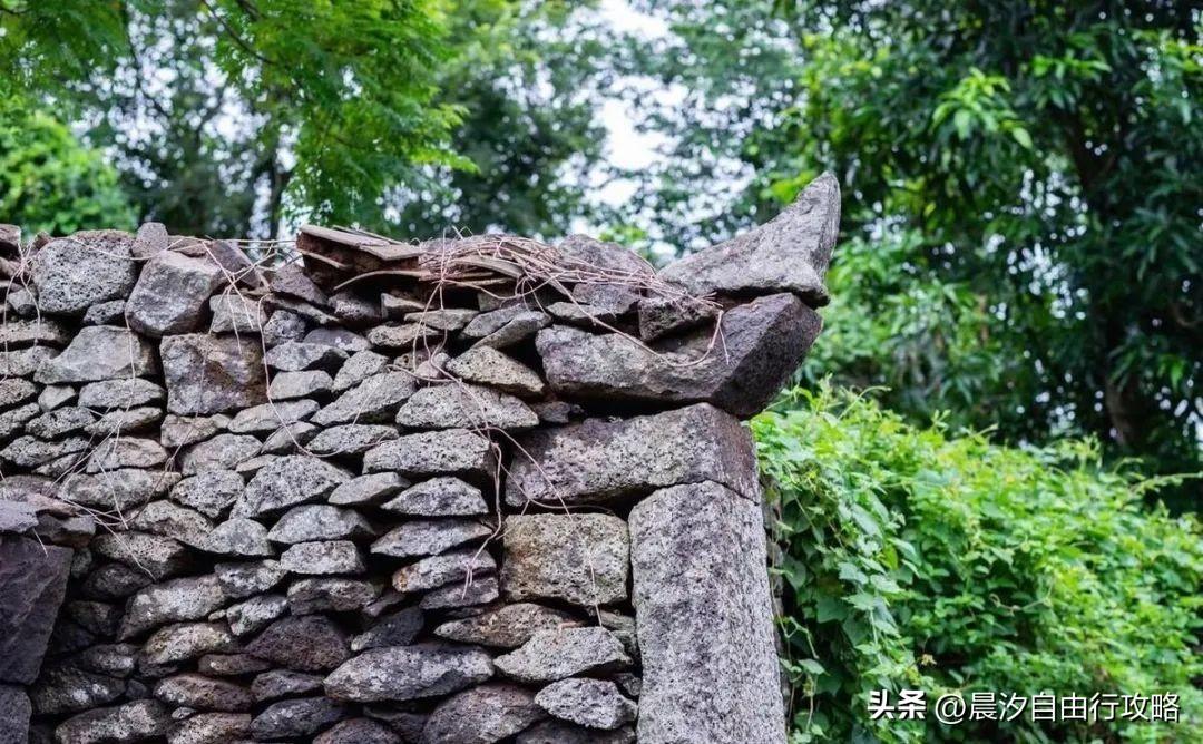 桥头富硒地瓜种植户(户桥头种植地瓜富硒基地在哪)-硒宝网