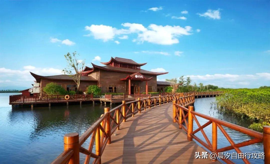 桥头富硒地瓜种植户(户桥头种植地瓜富硒基地在哪)-硒宝网