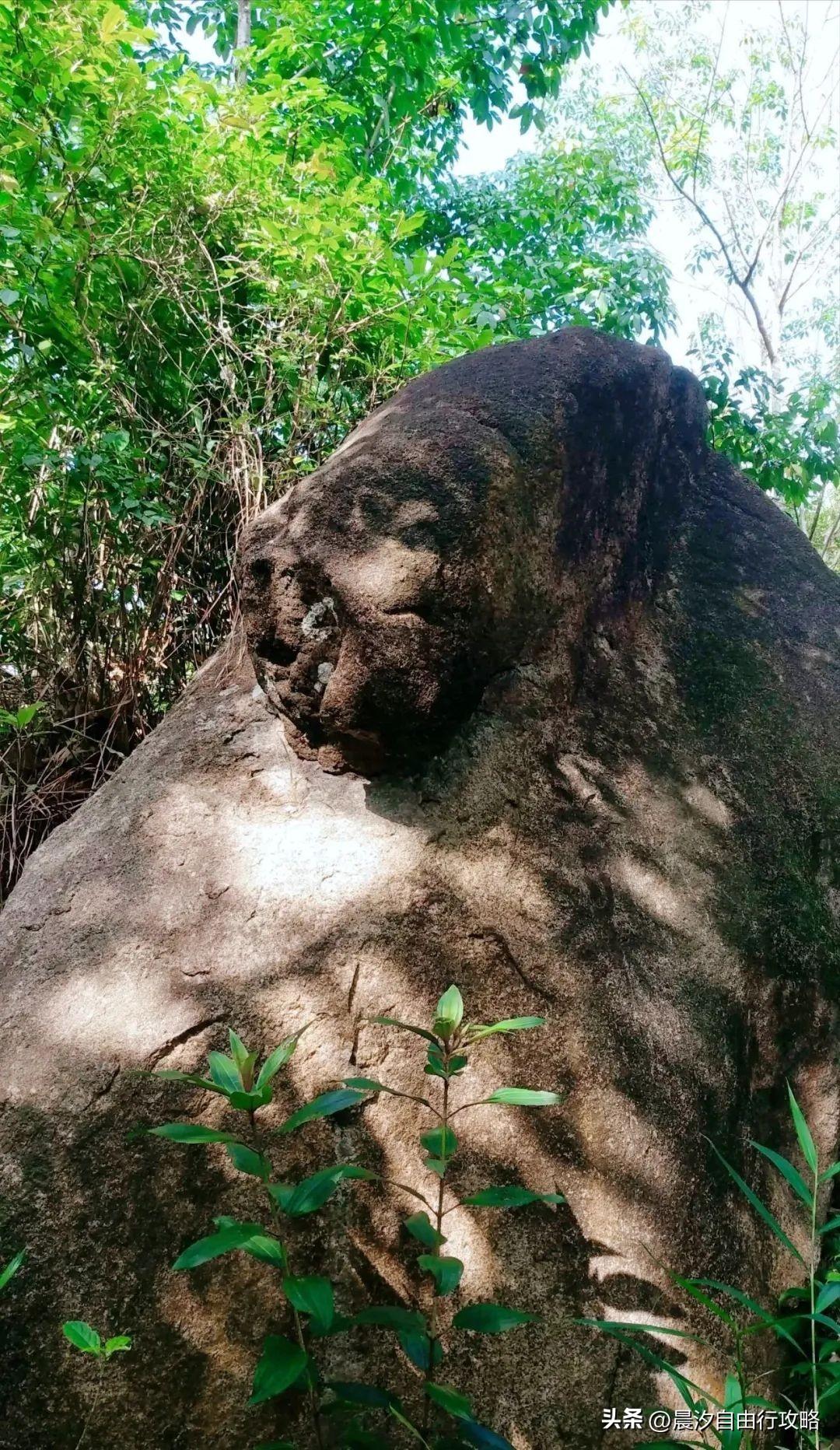 桥头富硒地瓜种植户(户桥头种植地瓜富硒基地在哪)-硒宝网