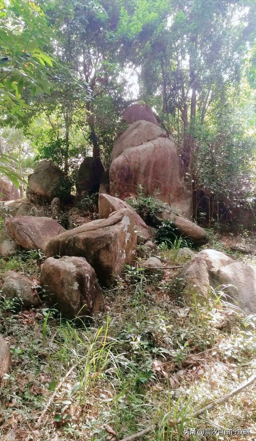 桥头富硒地瓜种植户(户桥头种植地瓜富硒基地在哪)-硒宝网