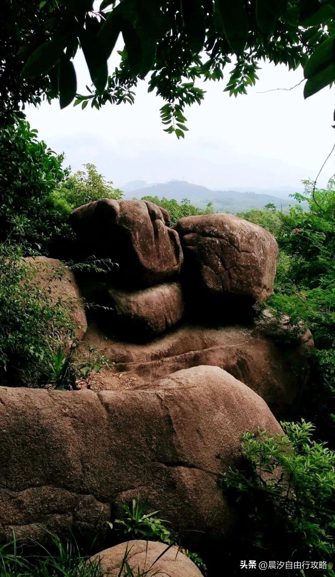 桥头富硒地瓜种植户(户桥头种植地瓜富硒基地在哪)-硒宝网