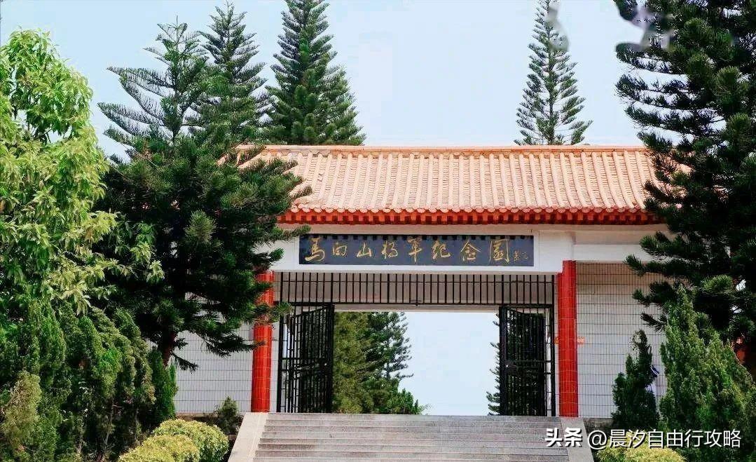 桥头富硒地瓜种植户(户桥头种植地瓜富硒基地在哪)-硒宝网